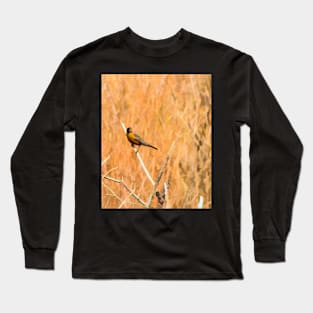 Robin illustration Long Sleeve T-Shirt